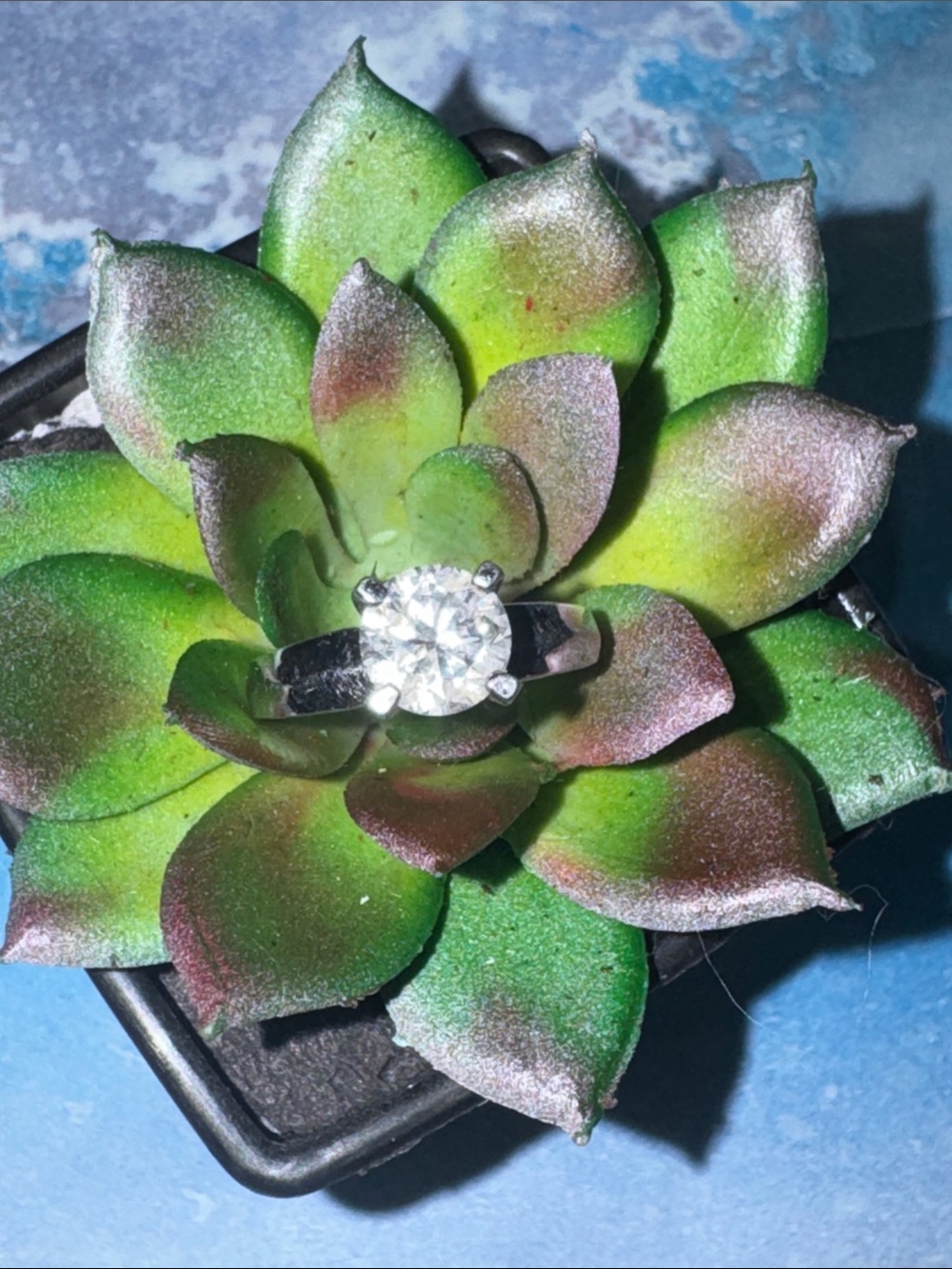 Solitaire Round-Cut Silver Engagement Ring
